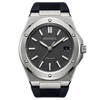 CARENTIS Silver Steel Grey Rubber