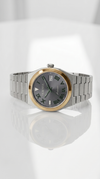CLASSIC Two Tone Steel Roman Grey